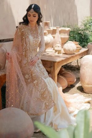 NAMEERA | FULL ORGANZA | WEDDING WEAR